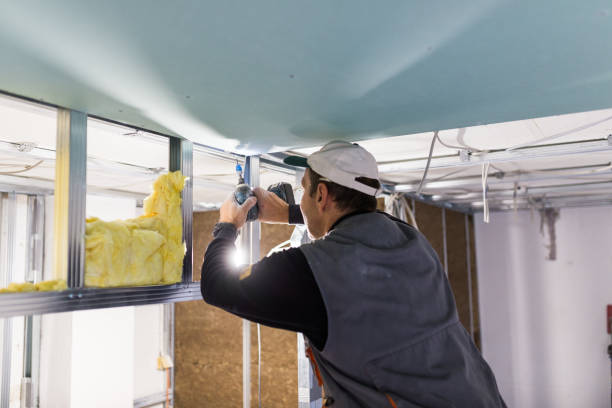 Best Eco-Friendly or Green Insulation Solutions  in Neodesha, KS